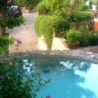 AMOREDIMARE AMOREDIMARE