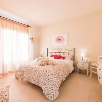 Petali Rosa Petali Rosa