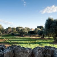 In the heart of Apulia In the heart of Apulia