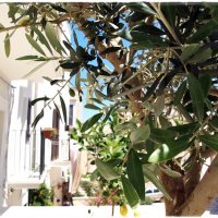 TRA LE MURA TRA LE MURA